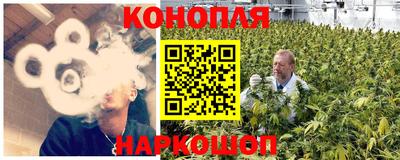 гидропоника Бердск