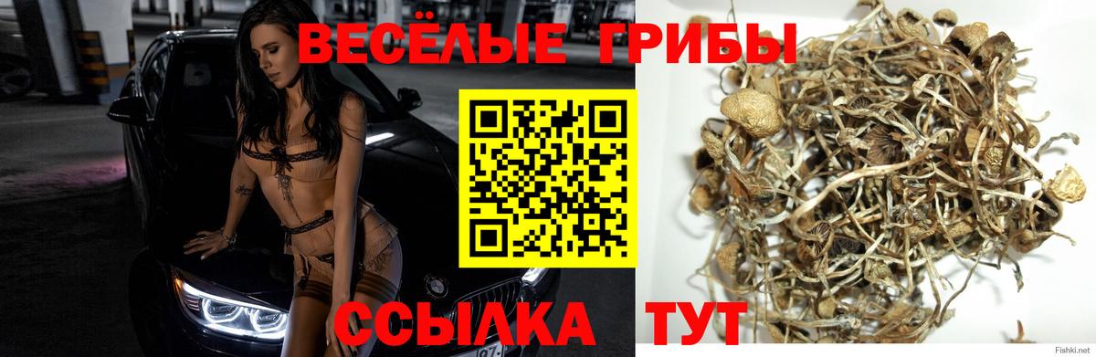 Галлюциногенные грибы мухоморы  Вход с VPN  Советский 